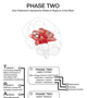 TRAP Limbic System & Basal Ganglia